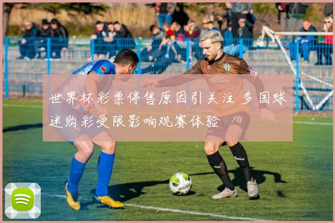 世界杯彩票停售原因引关注 多国球迷购彩受限影响观赛体验