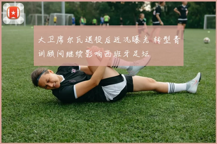 大卫席尔瓦退役后近况曝光 转型青训顾问继续影响西班牙足坛