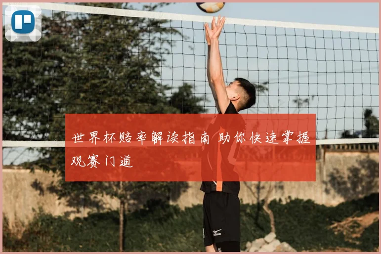 世界杯赔率解读指南 助你快速掌握观赛门道