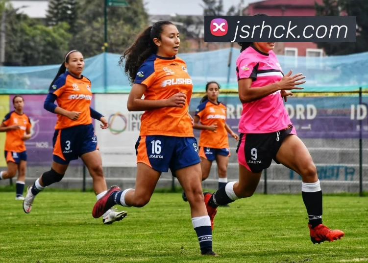 世界杯官网线上平台 - 世界杯(中国)平台生态图